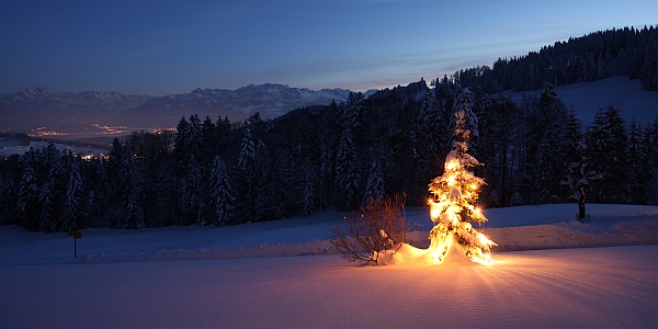 Weihnachtsbaum auf dem Sennenberg