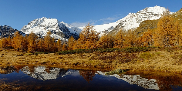 Herbst auf der Alp Grüm
