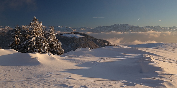 Winterstimmung auf der Alp Scheidegg