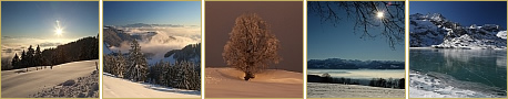 Thumbnails der neusten Fotos der Galerie Winter