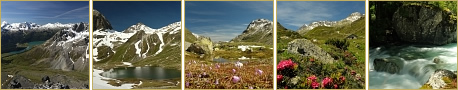 Thumbnails der neusten Fotos der Galerie Sommer