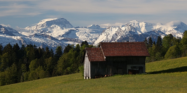 Stall bei Luegeten mit dem Tödi im Hintergrund