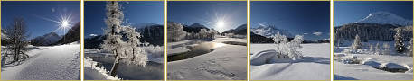 Thumbnails der neusten Fotos der Galerie Winter