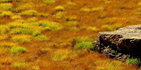 Intensive Herbstfarben im Pozzo del Drago