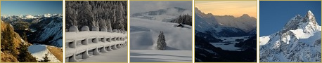 Thumbnails der neusten Fotos der Galerie Winter