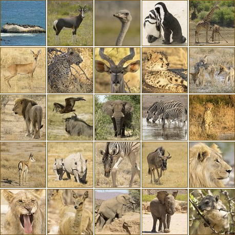 Galerie Safari