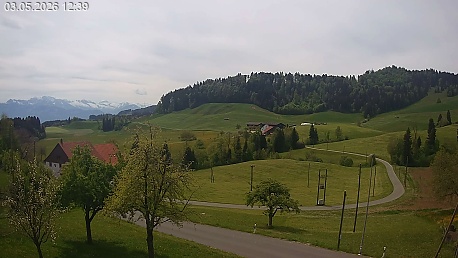 Webcam Image