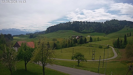 Webcam Image